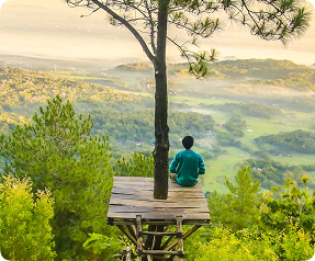 man-on-tree