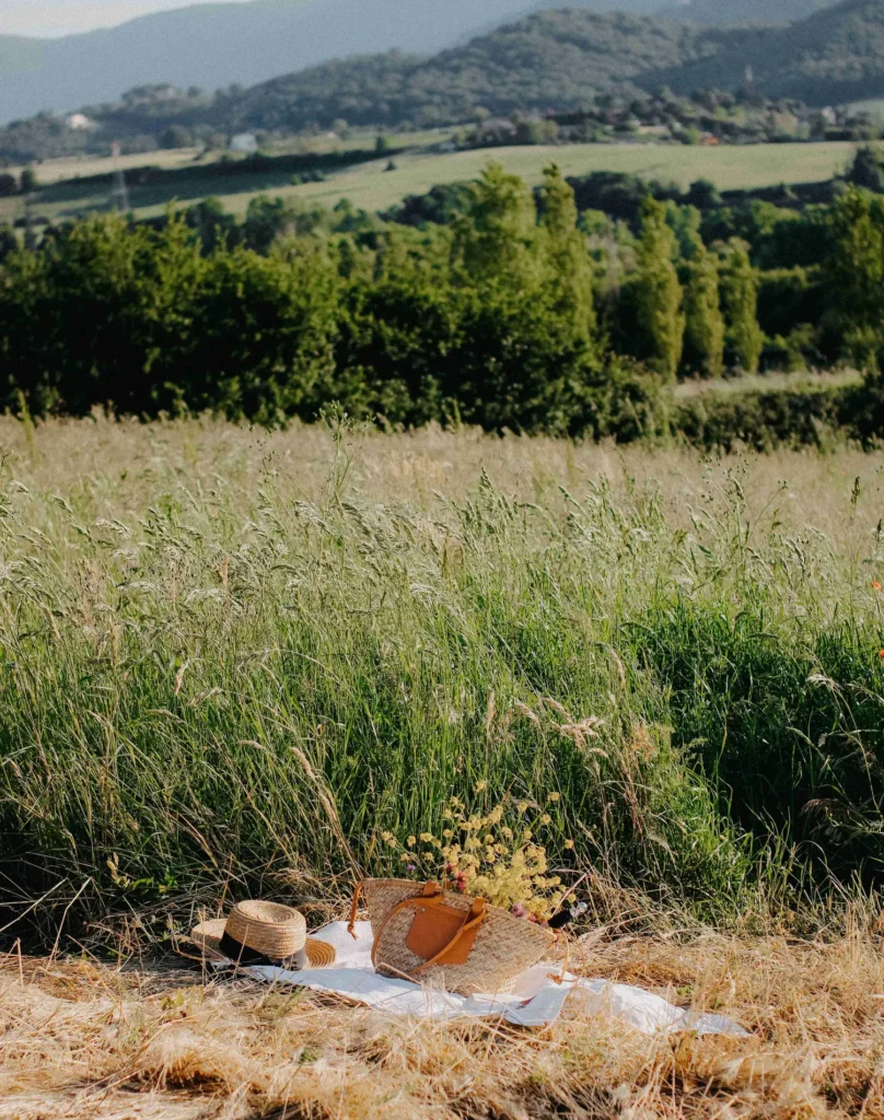 Have-a-Picnic-in-the-Meadows